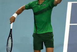 APP下载_德约科维奇调整状态